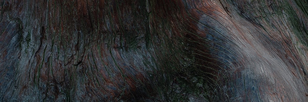 NandinYuan's profile banner image