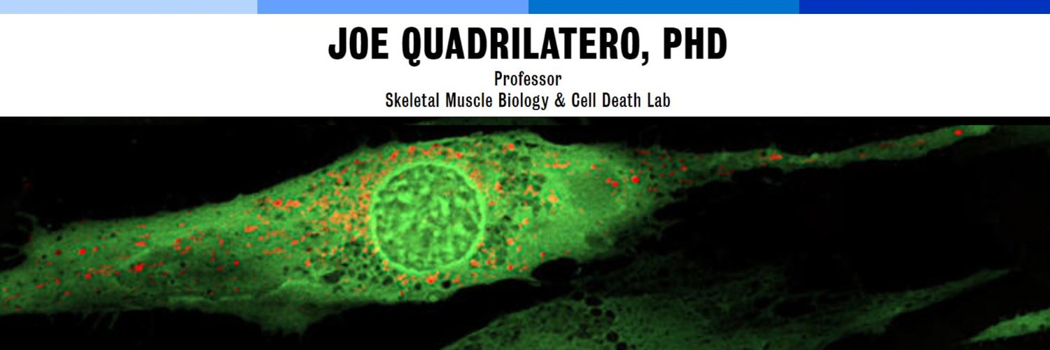 JQuadril's profile banner image