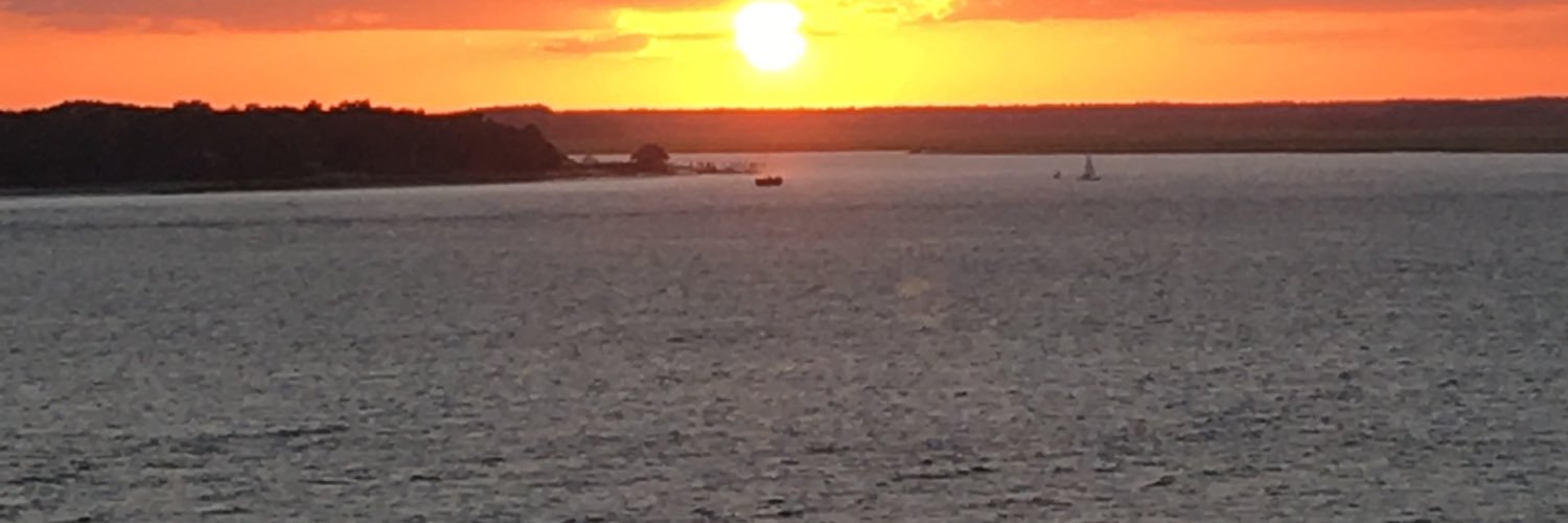 goose40's profile banner image