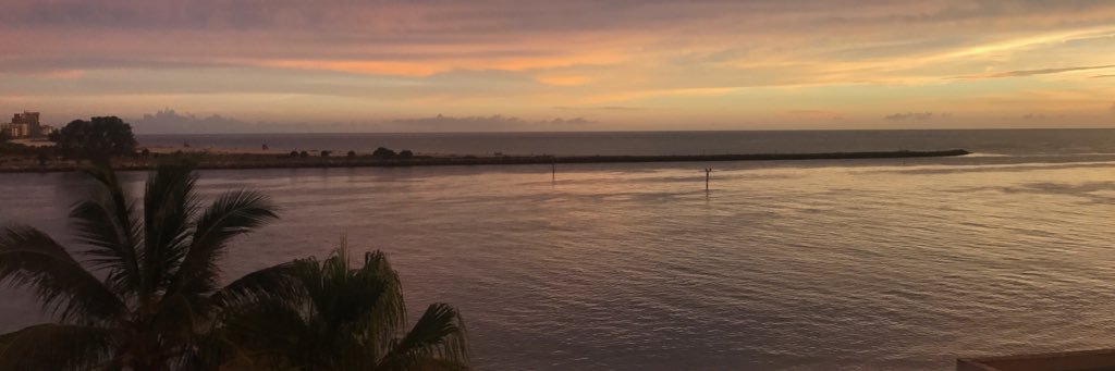 robynnicjames's profile banner image