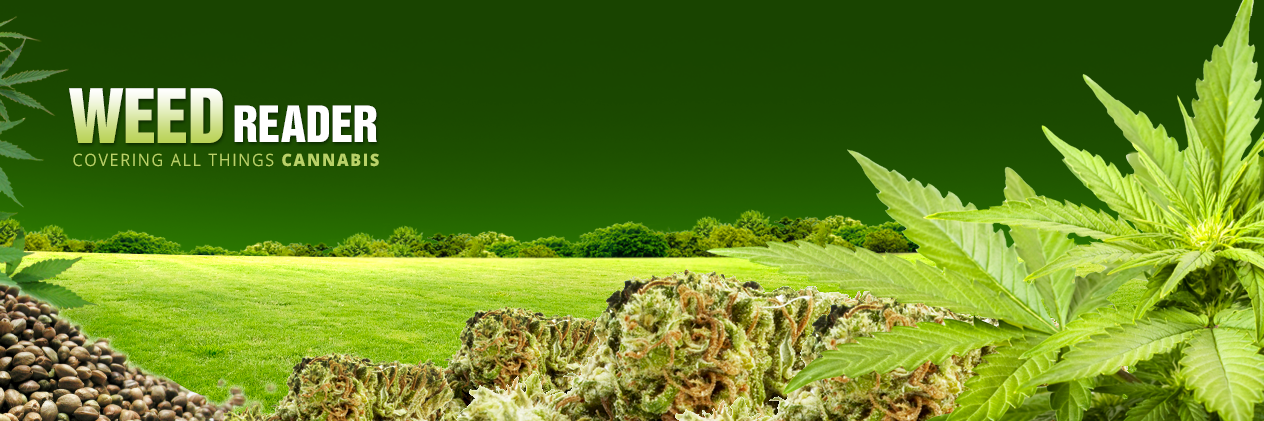 weed_reader's profile banner image
