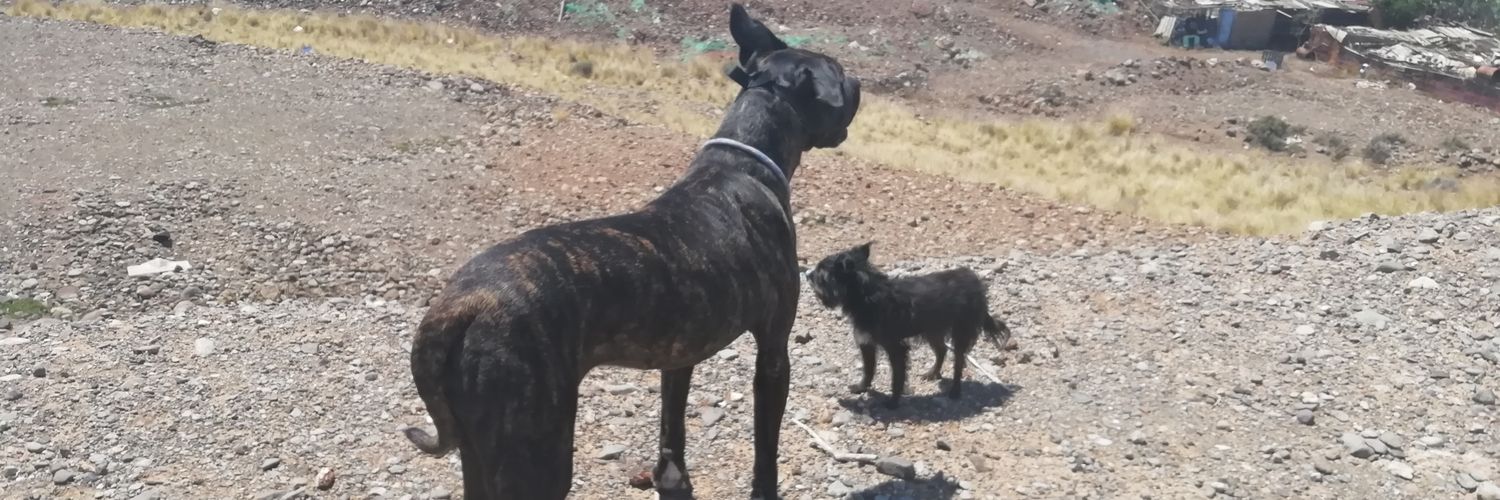 AlmudenaSL84's profile banner image