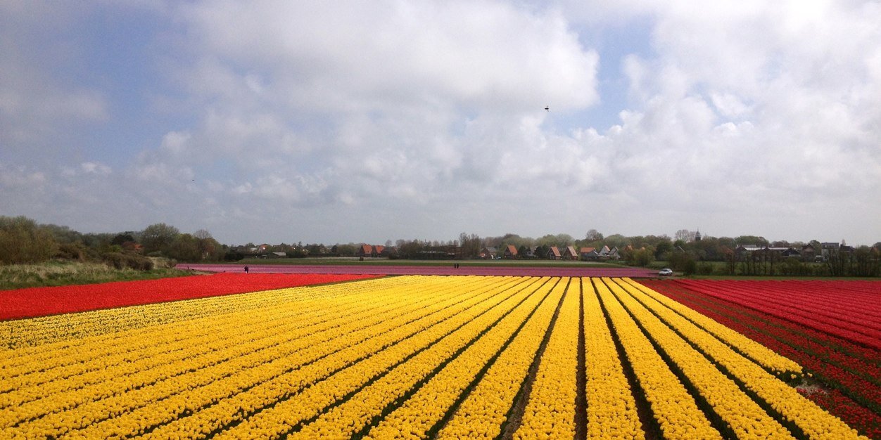 Ernst van den Ende banner