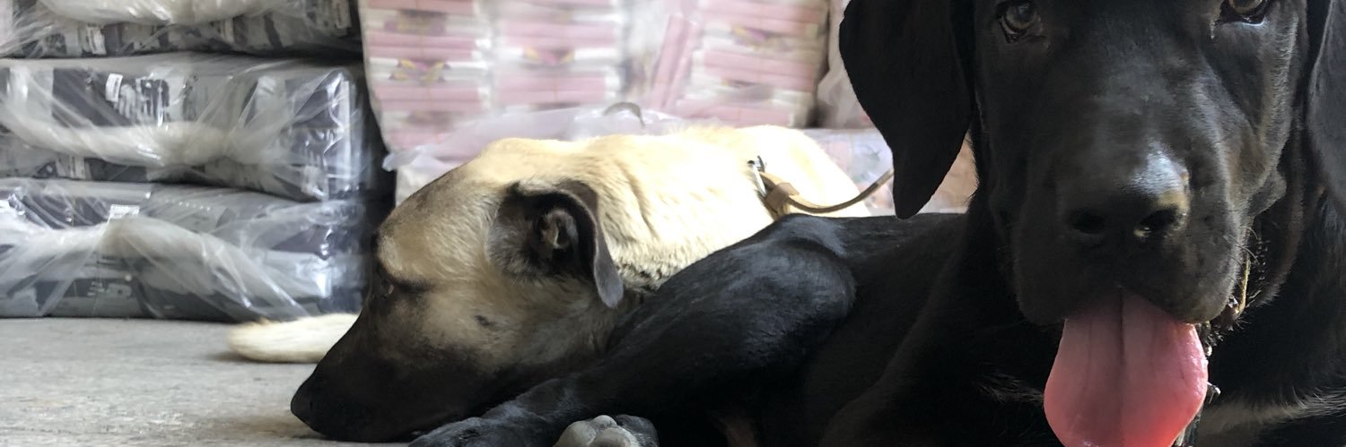 KaDa 🇹🇷 banner