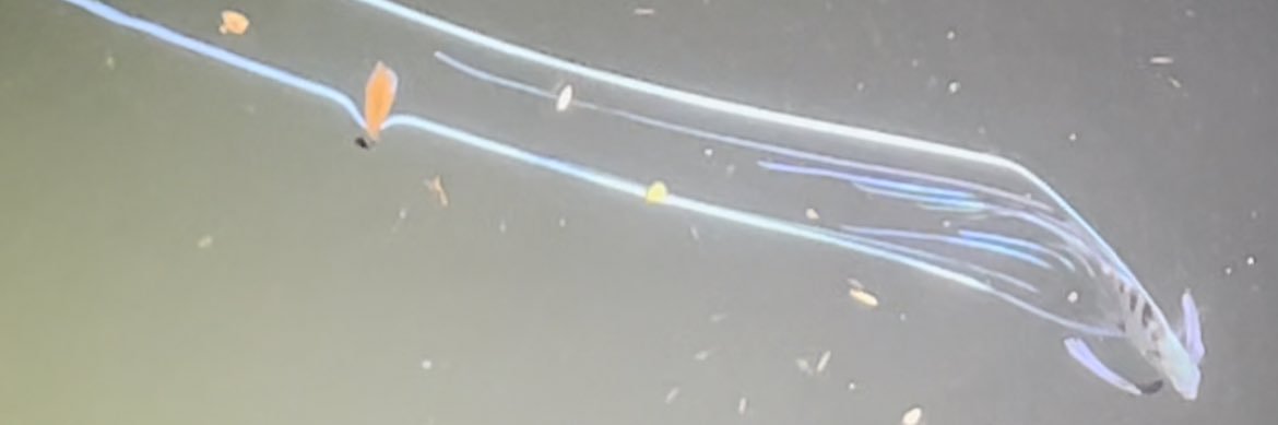 tomoball4's profile banner image