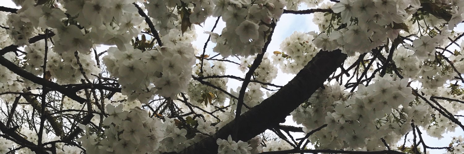 absjadehill's profile banner image