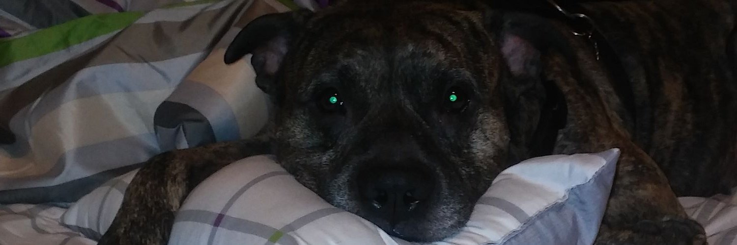 tlosleepz's profile banner image