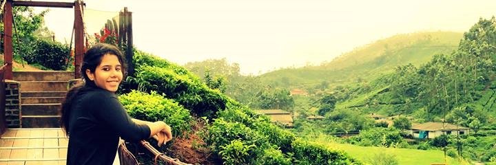 rashichandok's profile banner image