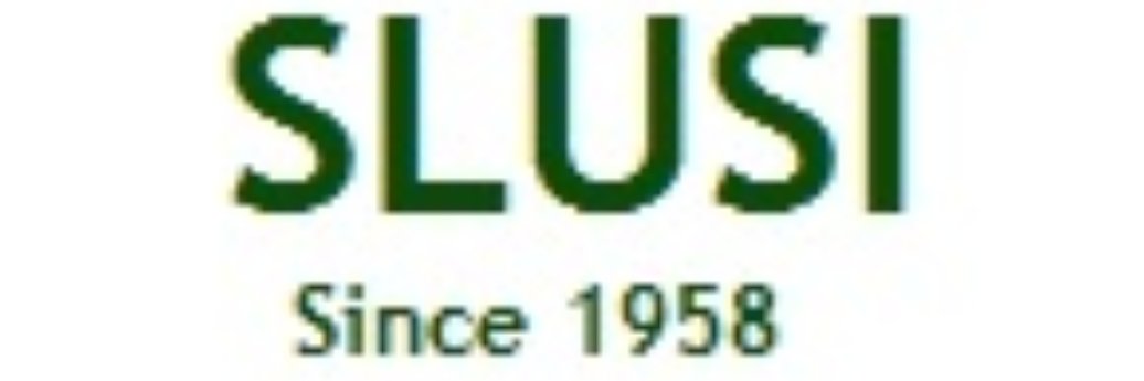SLUSIindia's profile banner image