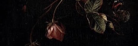 firstwifetoadam's profile banner image