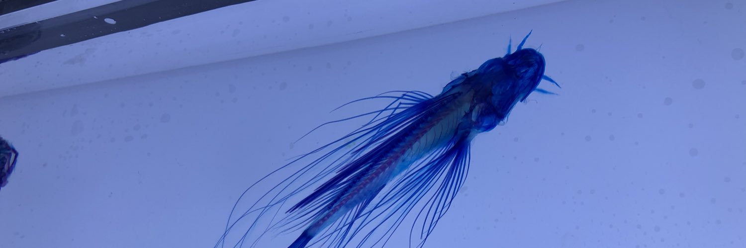 p33333q's profile banner image