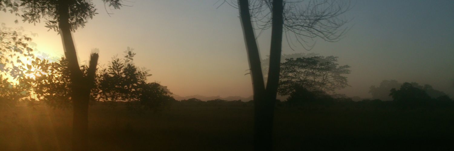 tatignlz's profile banner image