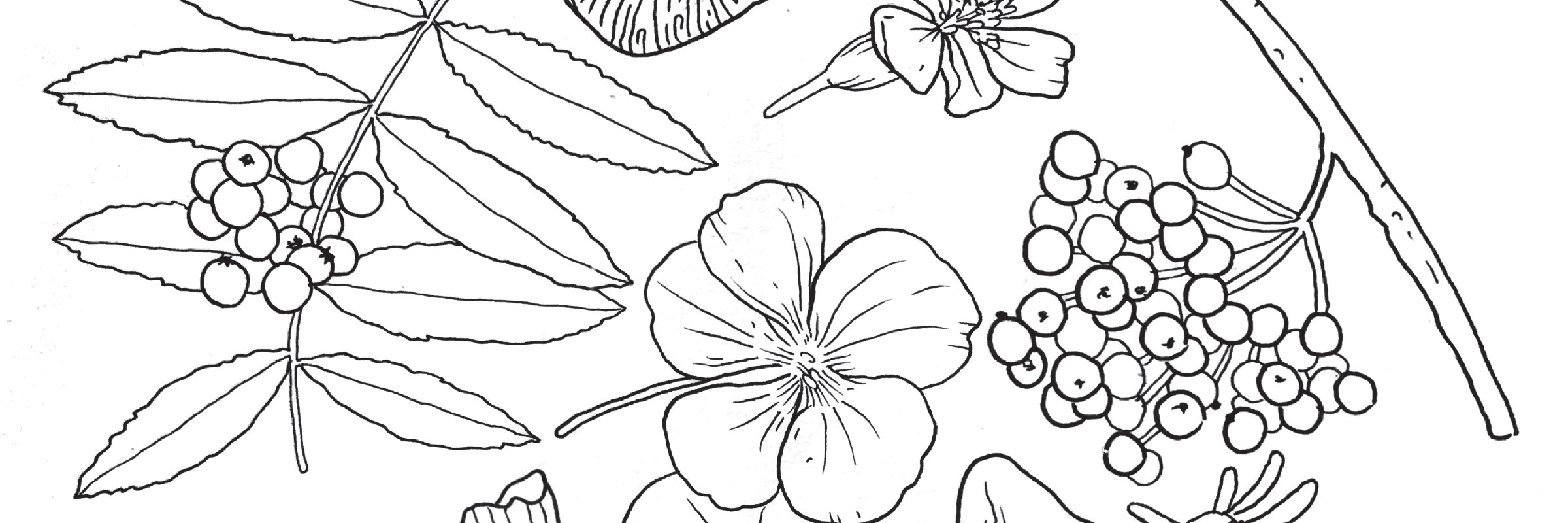 elske restaurant banner