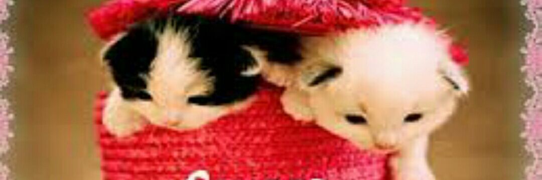 ajeet101191's profile banner image