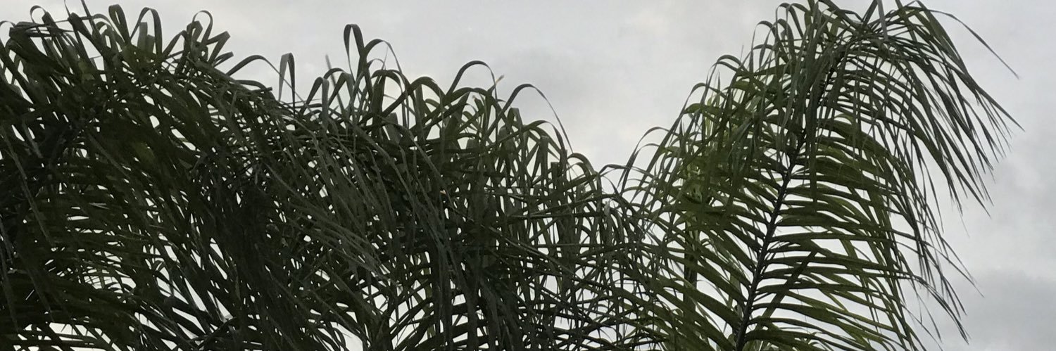 Jayne_Ann's profile banner image