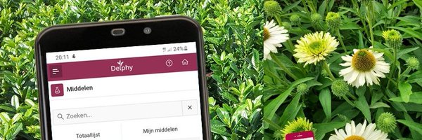 DelphyBoomteelt Profile Banner