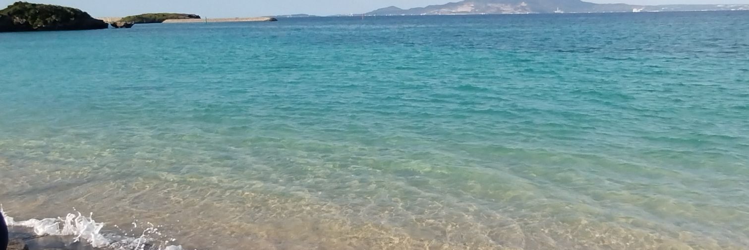 べ しの@人類🏝️ banner