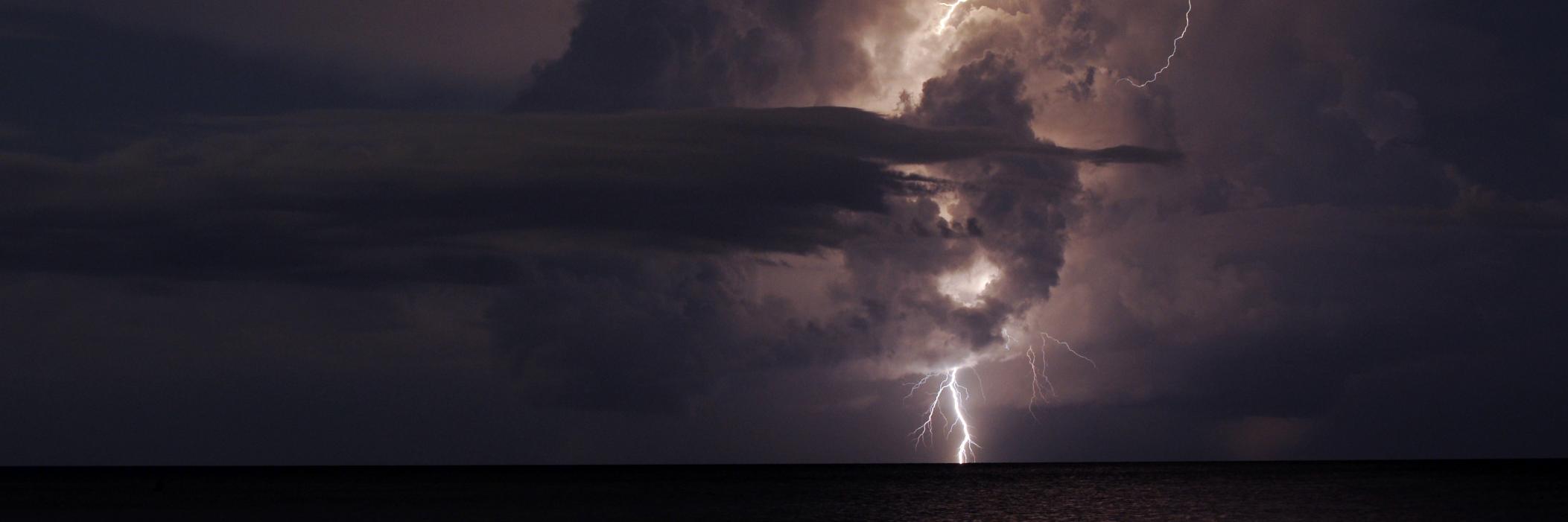 RAIN_Project (@RAIN_Project) / Posts / X
