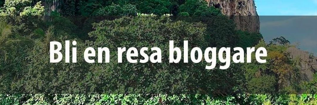 TestonTestsson's profile banner image