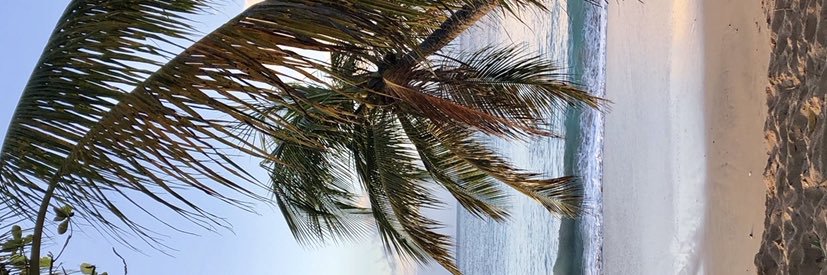 Ki_ly_'s profile banner image