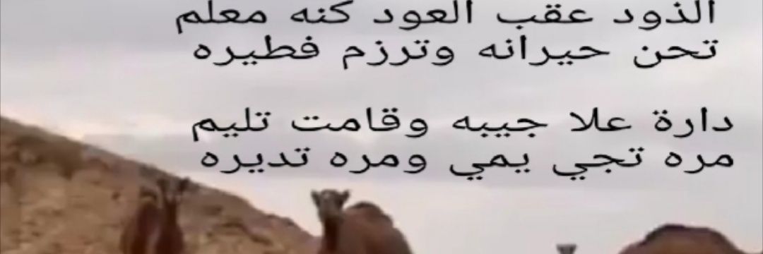 asaafalb's profile banner image