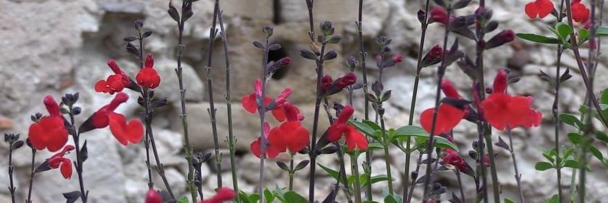 DelormeCristel's profile banner image