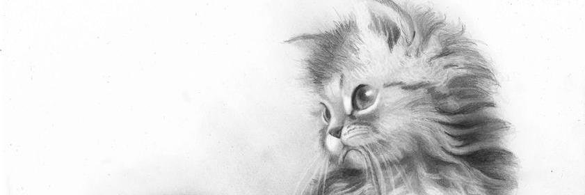 ochadeta's profile banner image