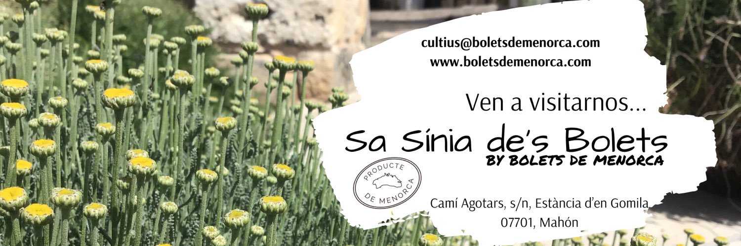 boletsdemenorca's profile banner image