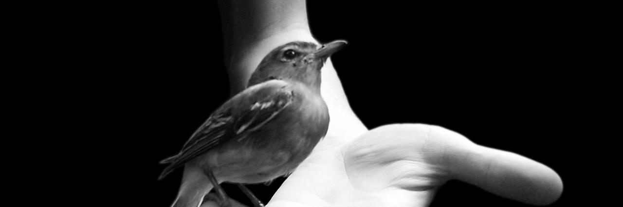 gmcks_healing's profile banner image
