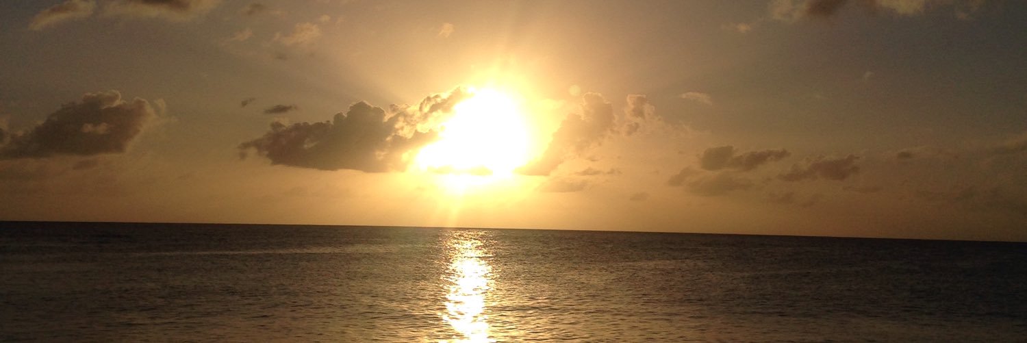Judith_Will's profile banner image