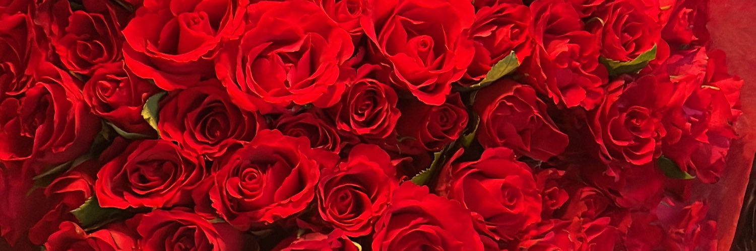 Lucypylex's profile banner image