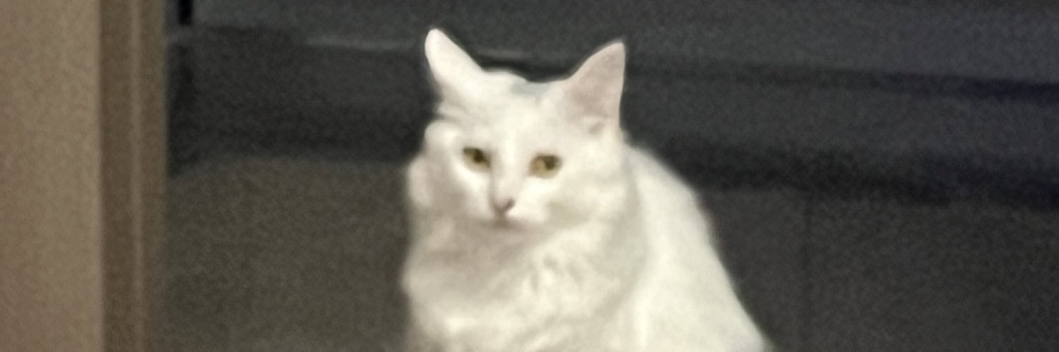 ifsoneday's profile banner image