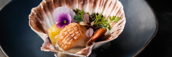 blackroe Profile Banner