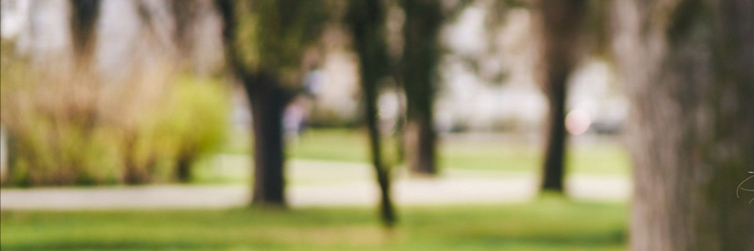 Isabell Grundschober banner