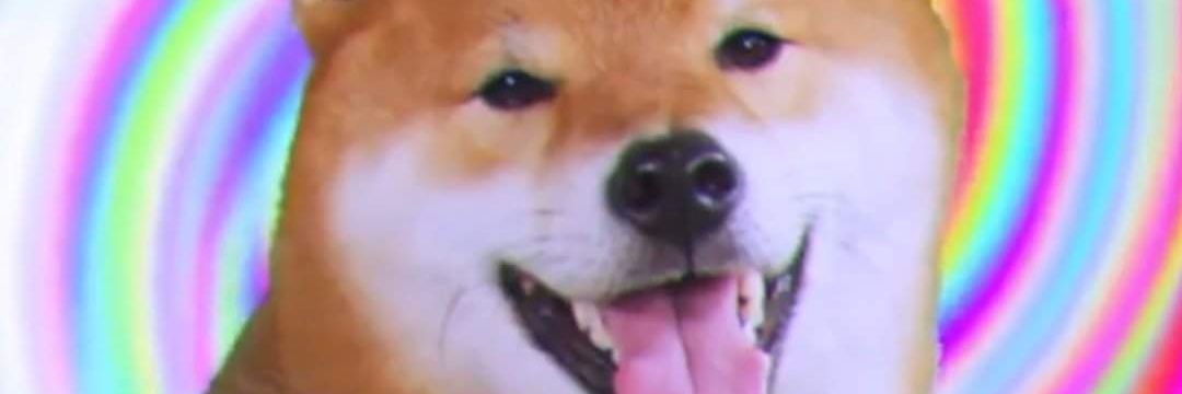 leongrockshit's profile banner image
