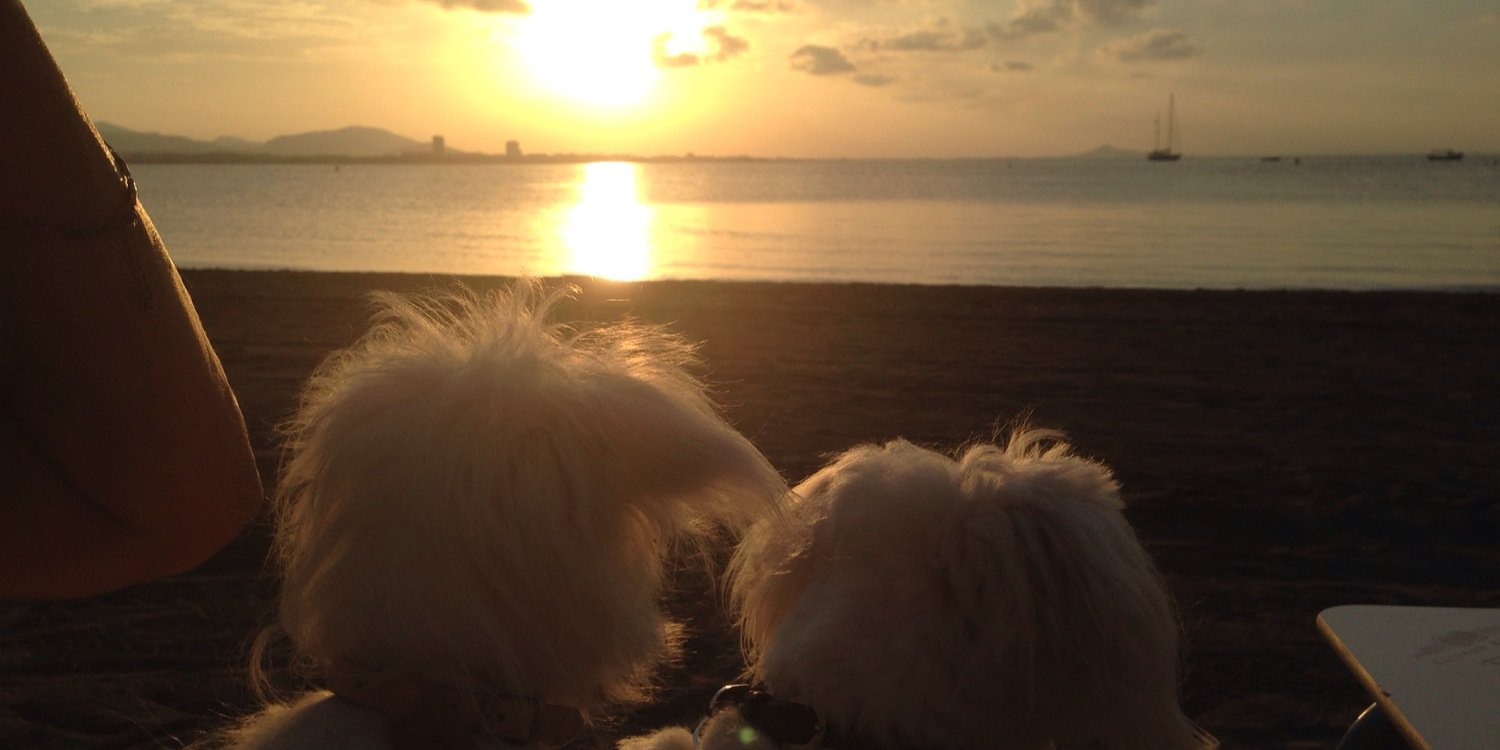 marina_md's profile banner image