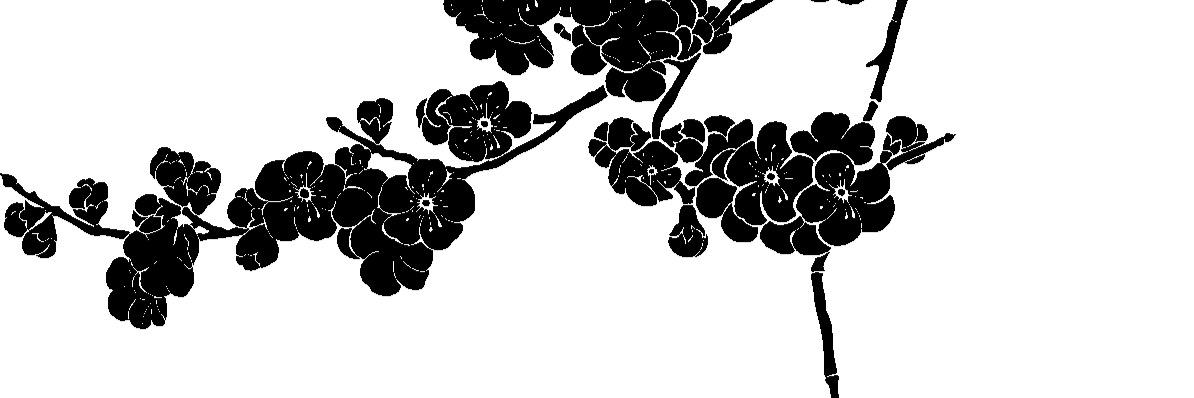 Perlidurango's profile banner image