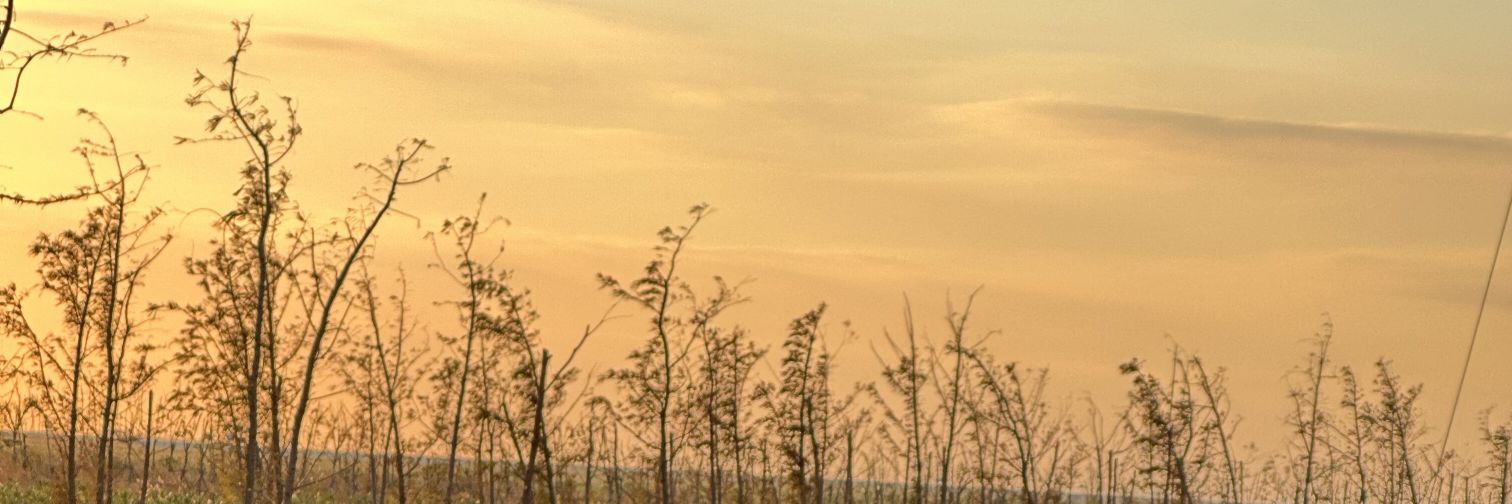 Lonqry's profile banner image