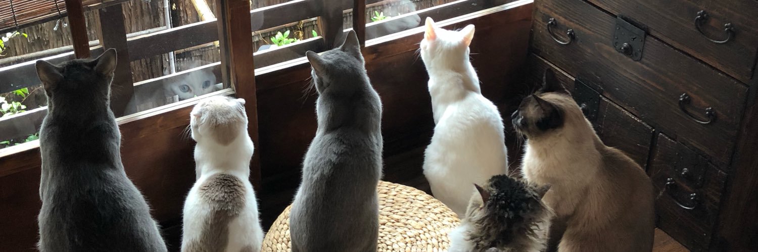 キャットアパートメントコーヒー banner