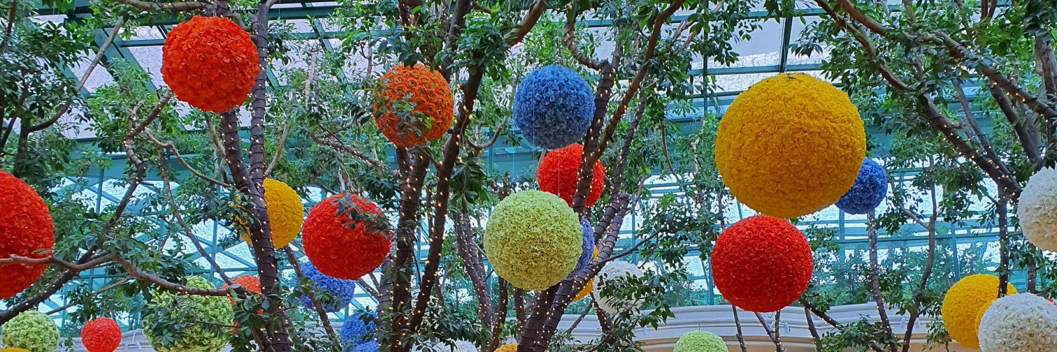 Erika Aroesti🦄 + 🌤 =🚀 banner