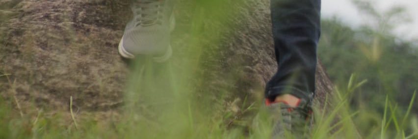 Wormjup's profile banner image