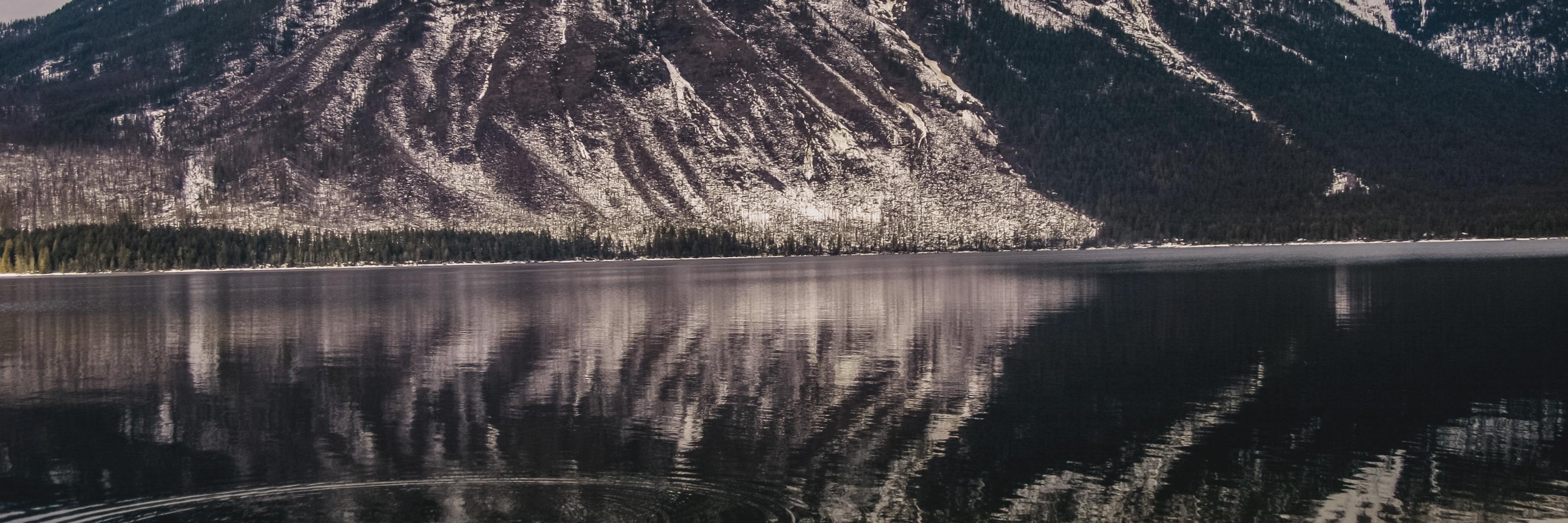 Natalia Vega banner