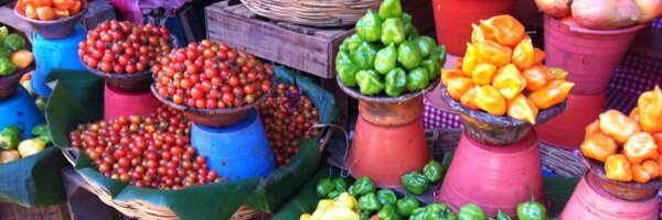 chefmartazepeda Profile Banner