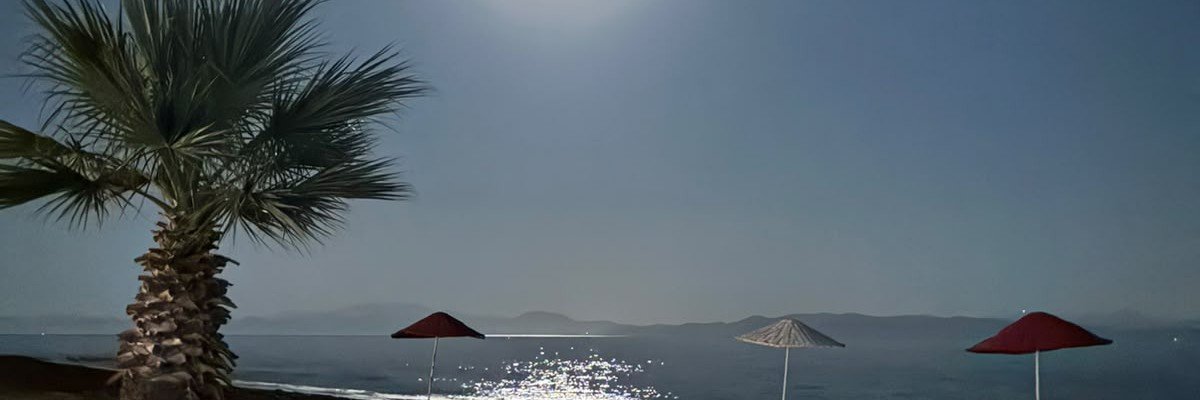 emelemreeymen's profile banner image