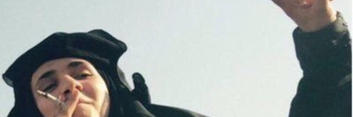 Renaschellian's profile banner image