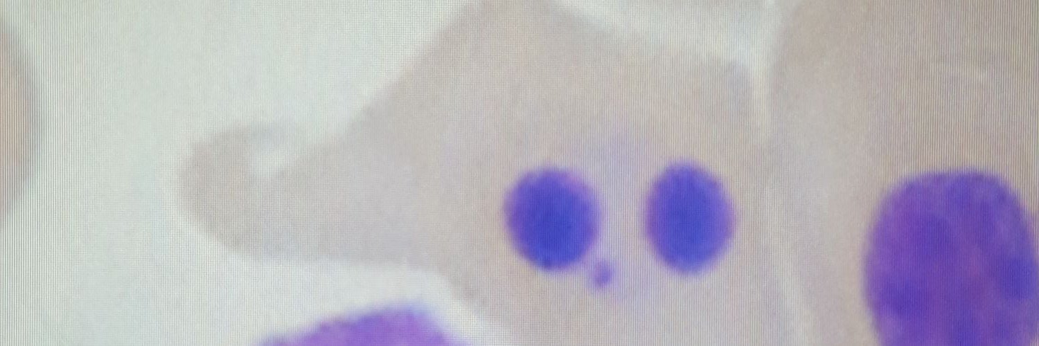 nadiaalmosny's profile banner image
