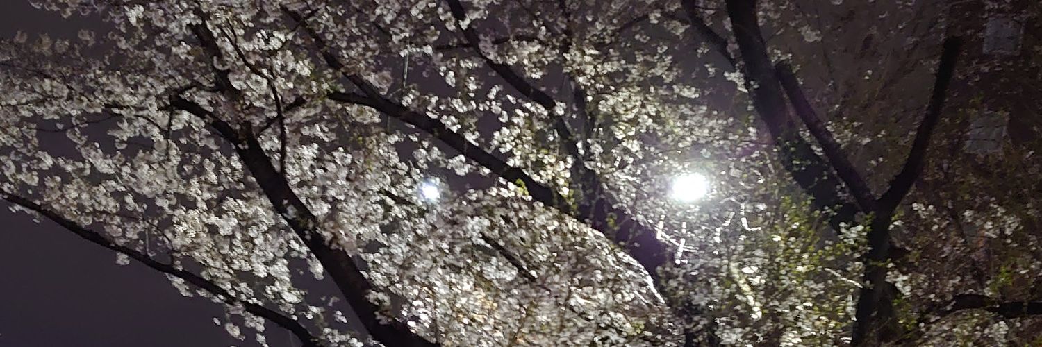 neko23238's profile banner image