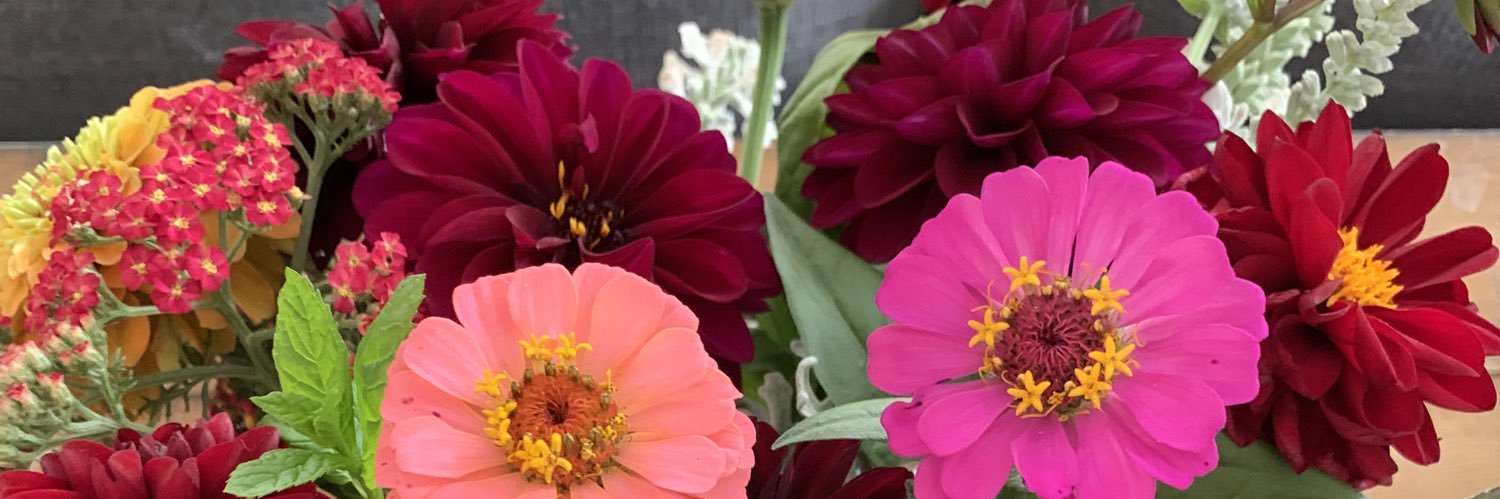 Christy Hollar banner