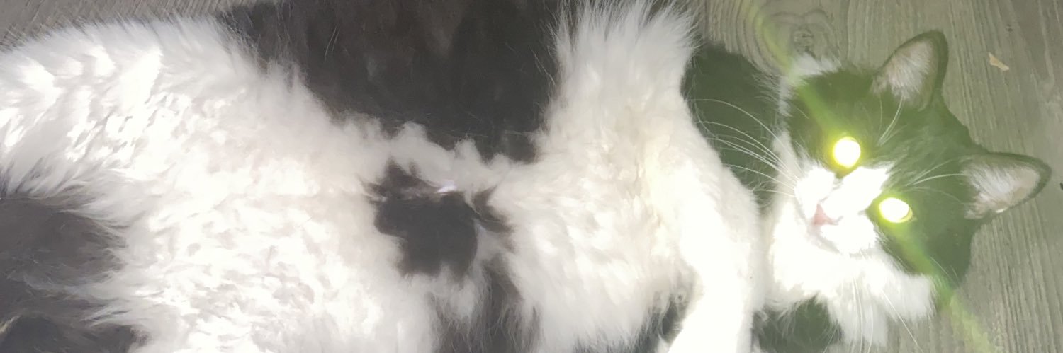 Valery_Horan's profile banner image