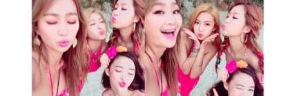 다솜 banner